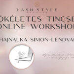 Perfect Fan workshop