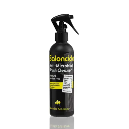 Saloncide Ecsettisztító 250 ml